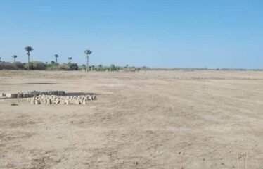 Terrains a Ndiobene 225m² Thiès Sénégal